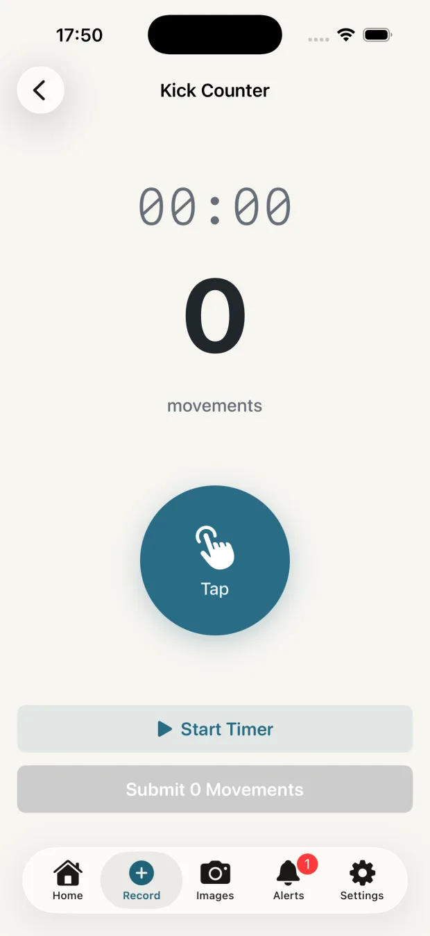 DigiCareCloud Maternity kick counter screen with a timer, a movement count and a large tap target